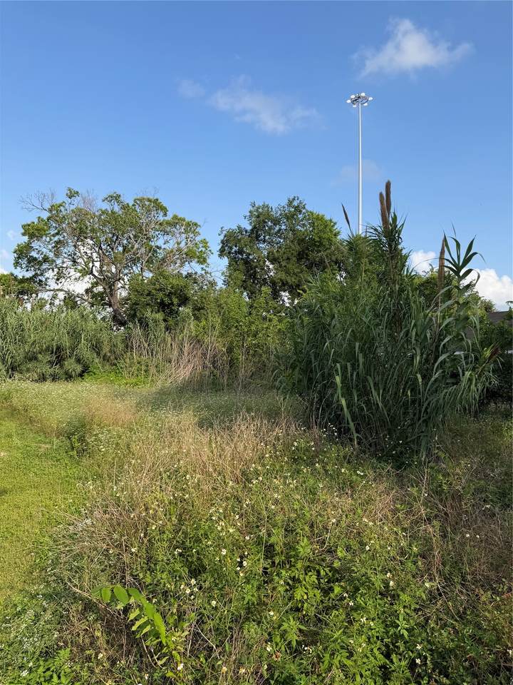 2010 Brackenridge Lot A Street - Photo 1