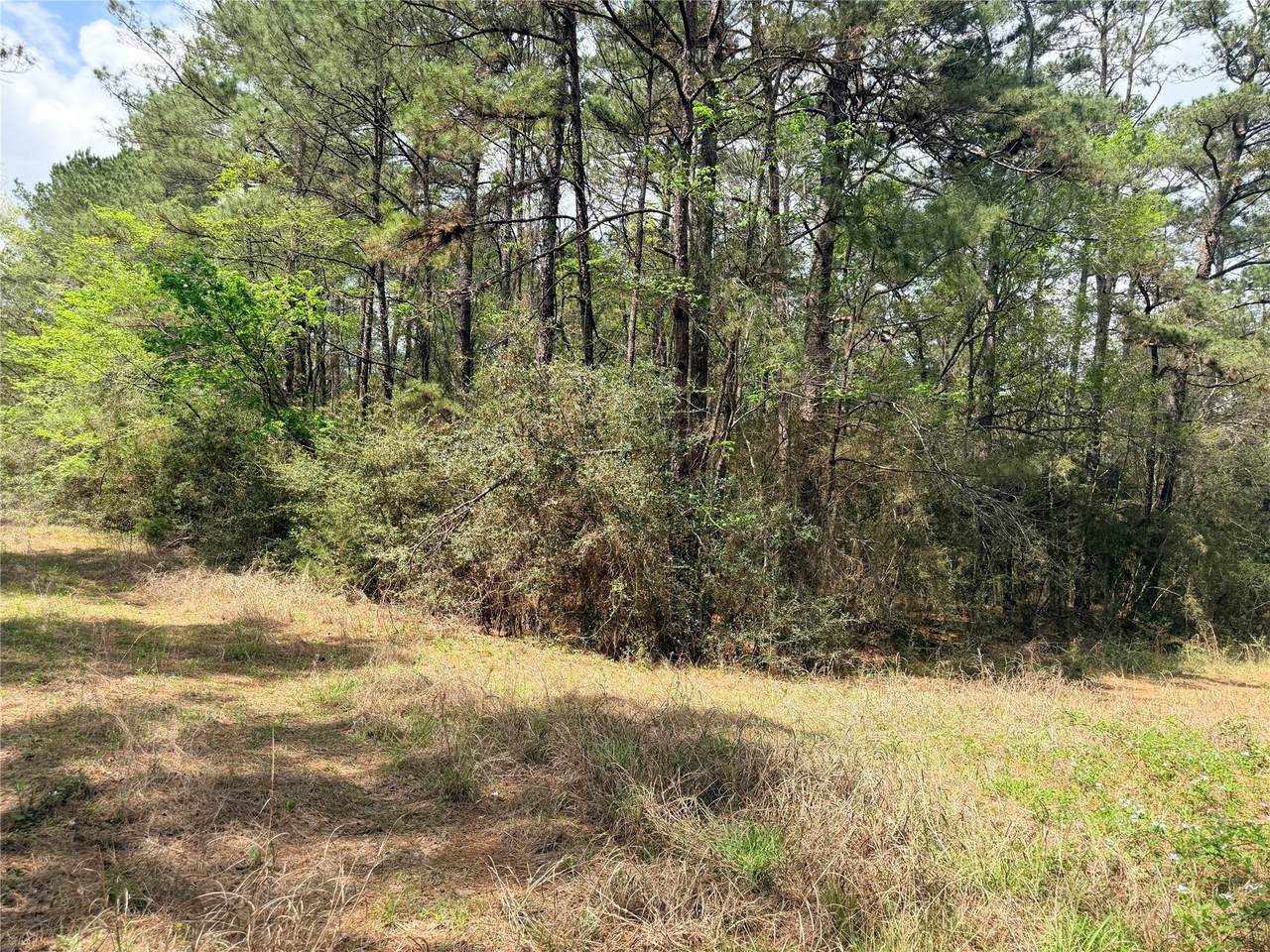4341 & 4365 North Oaks - Photo 1