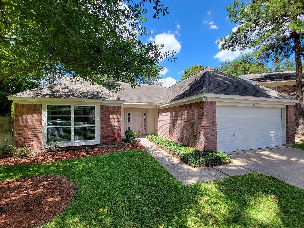 7777 Springville Drive - Photo 1