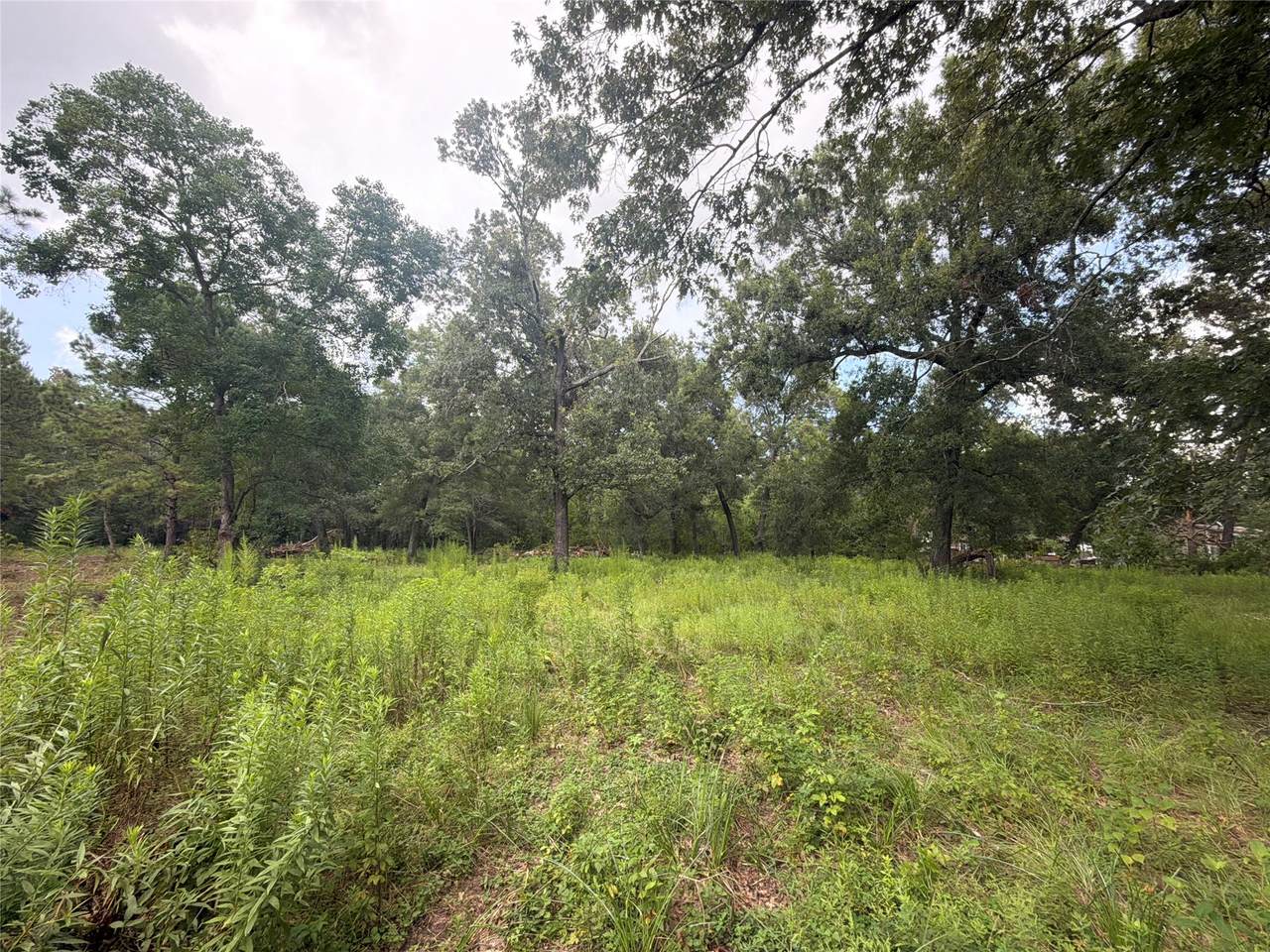 0 County Road 6502 - Photo 1