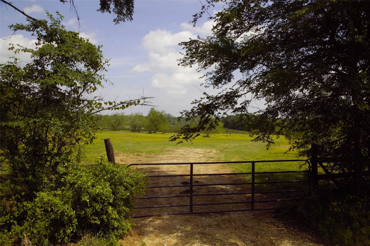 350 Rotan - Photo 1