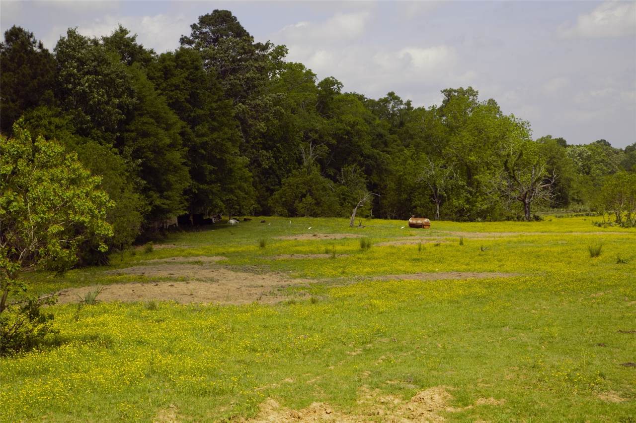 https://bt-photos.global.ssl.fastly.net/harmls/1280_boomver_1_21731810-2.jpg