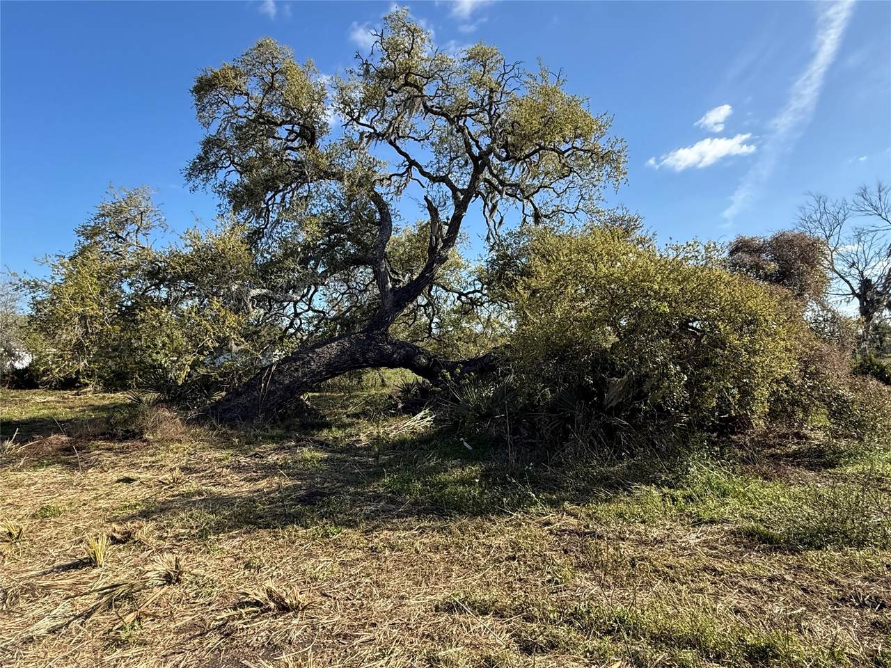 0 County Road 319 - Photo 1