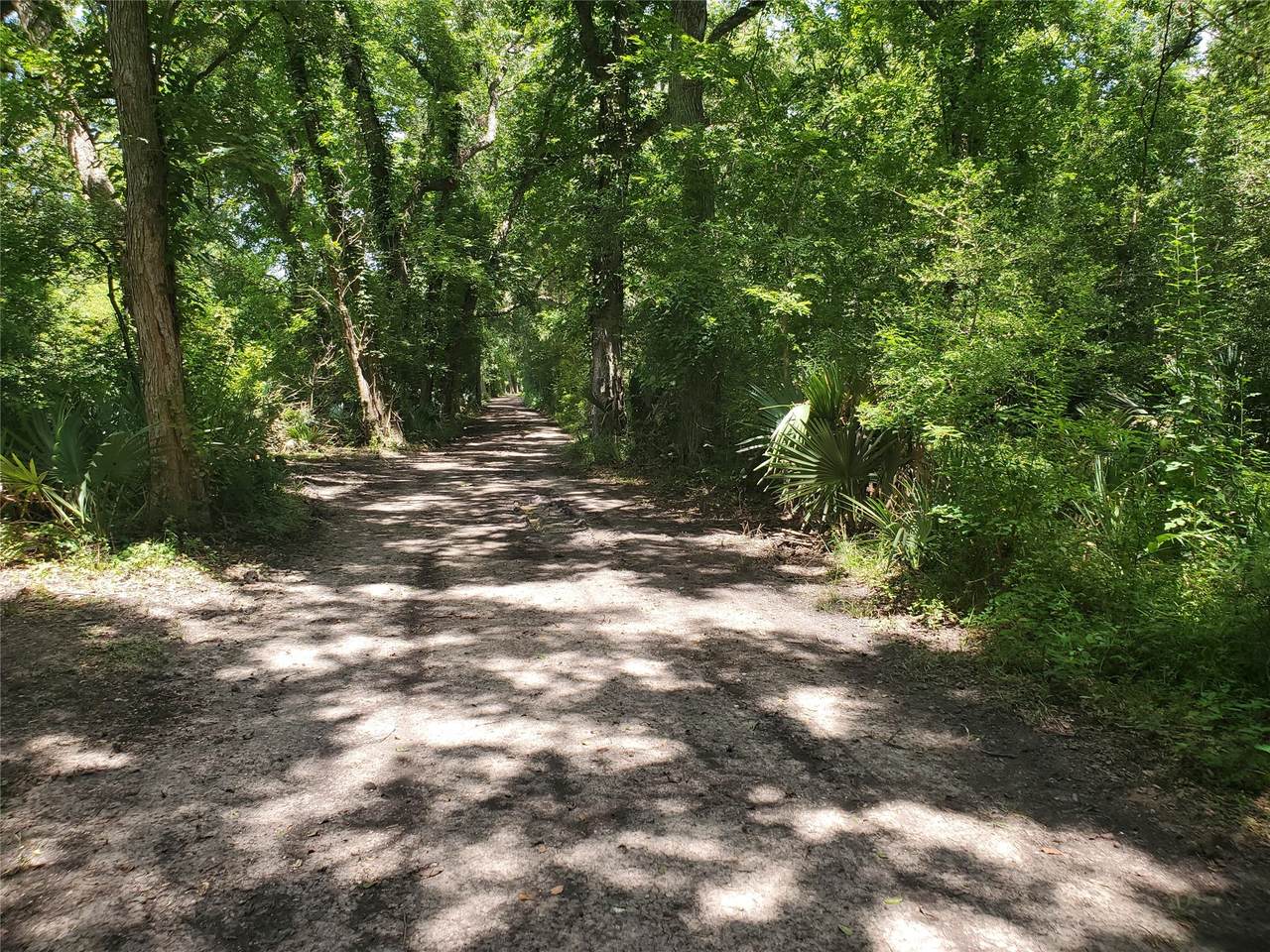 0 County Road 488B - Photo 1