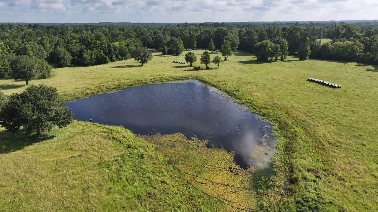 TBD Walker Ln Lane - Photo 1