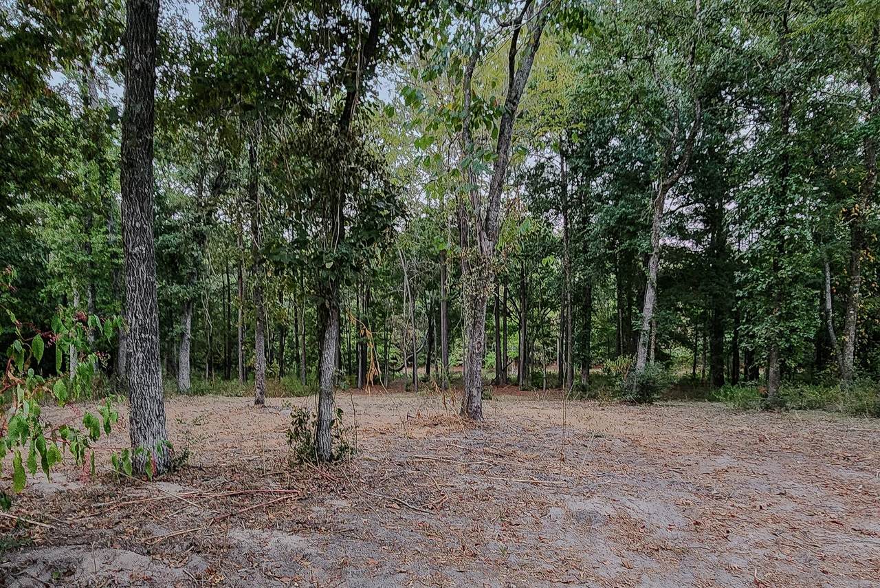 200 Laurel - Photo 1