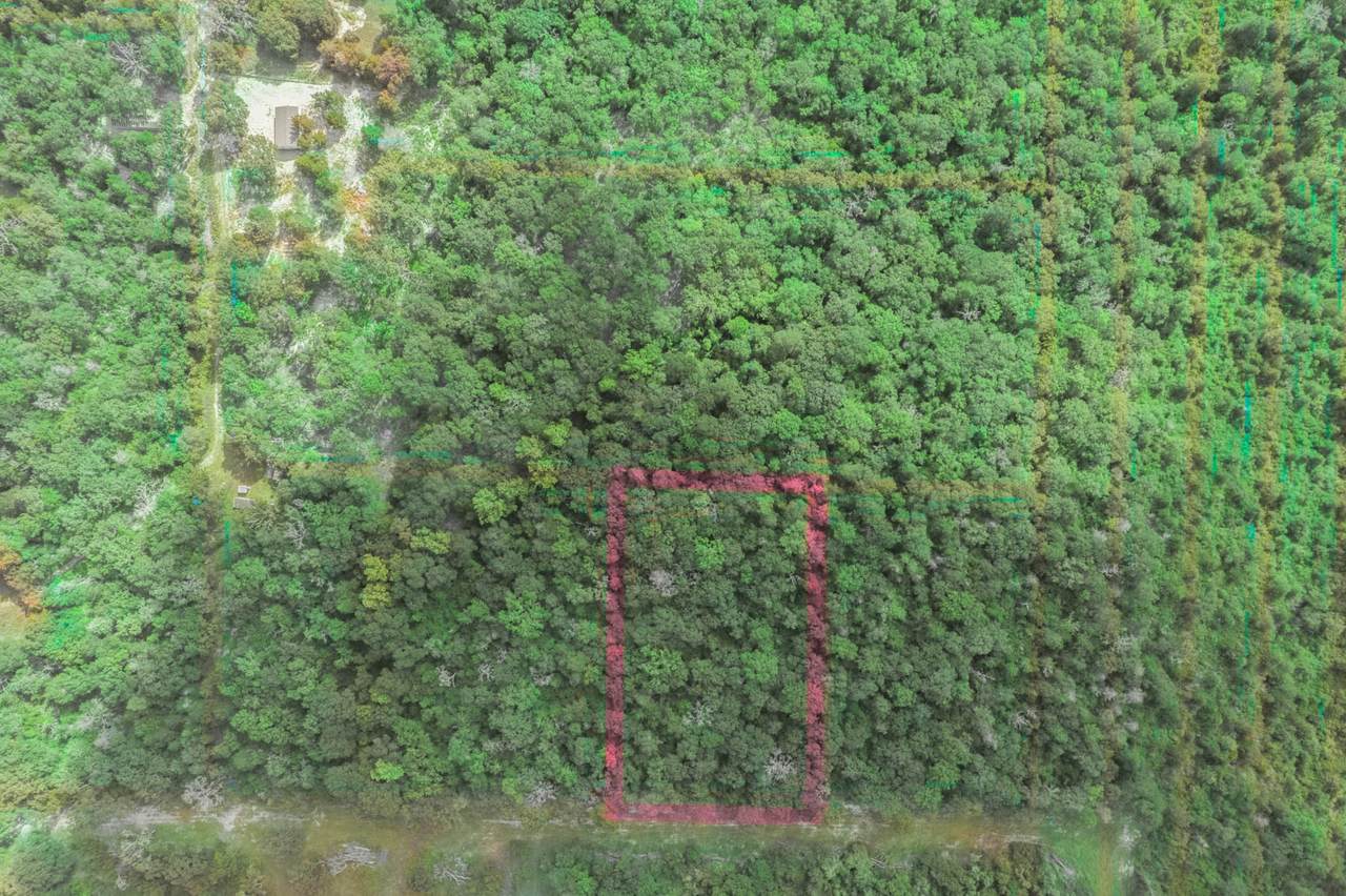 0 Old Hearne Rd - Photo 1