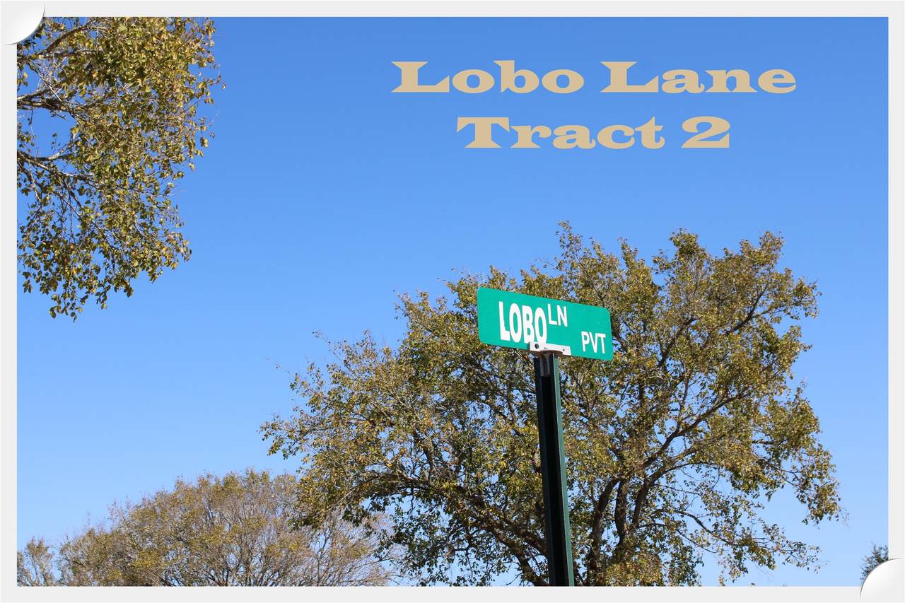 00 Lobo Lane - Photo 1