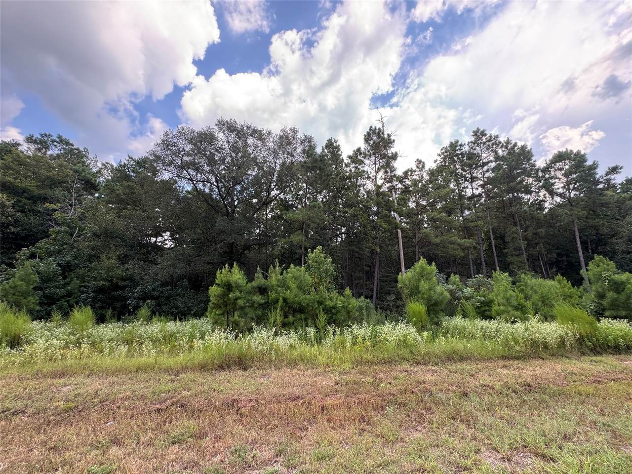 68-23-7 Sky Oak Lane - Photo 1