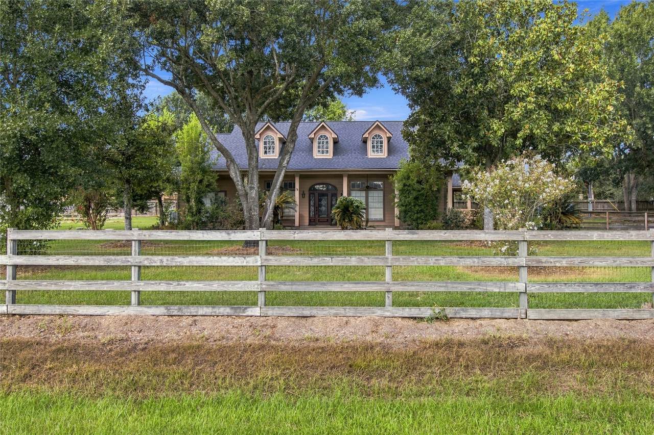 14907 Armadillo - Photo 1