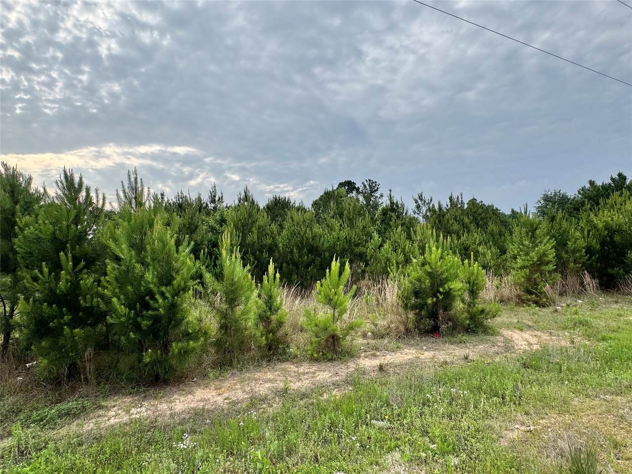 576 County Road 3773 - Photo 1