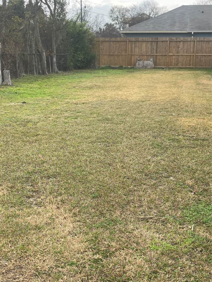 4205 Gunter Street - Photo 1