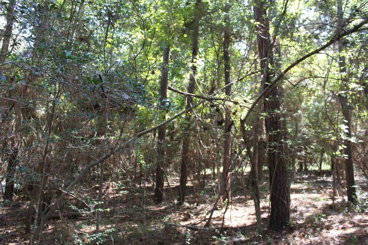 TBD 0Magnolia - Photo 1