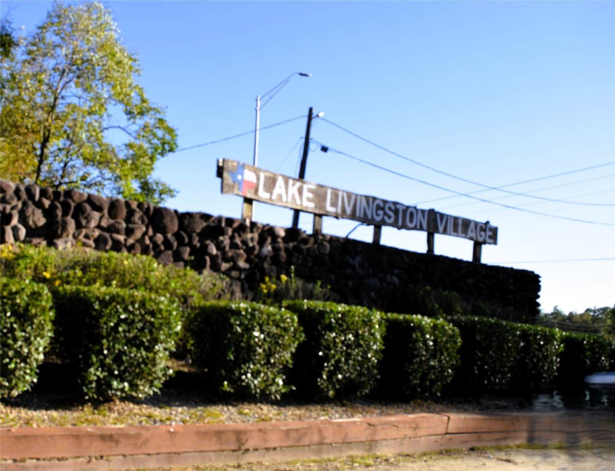 TBD Forester - Photo 1