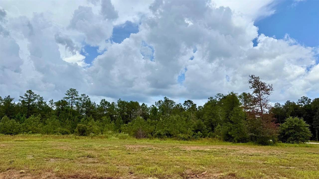 13190 Blackberry Drive - Photo 1