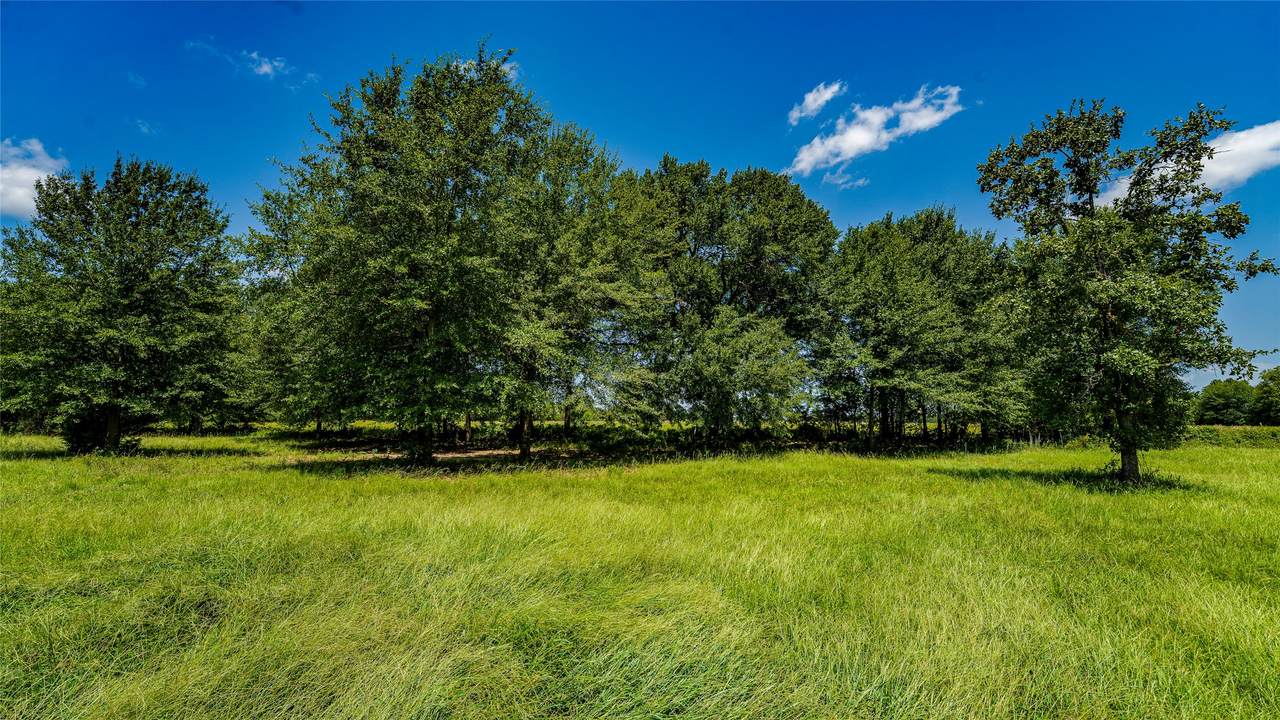 TBD Cr 357 - Photo 1