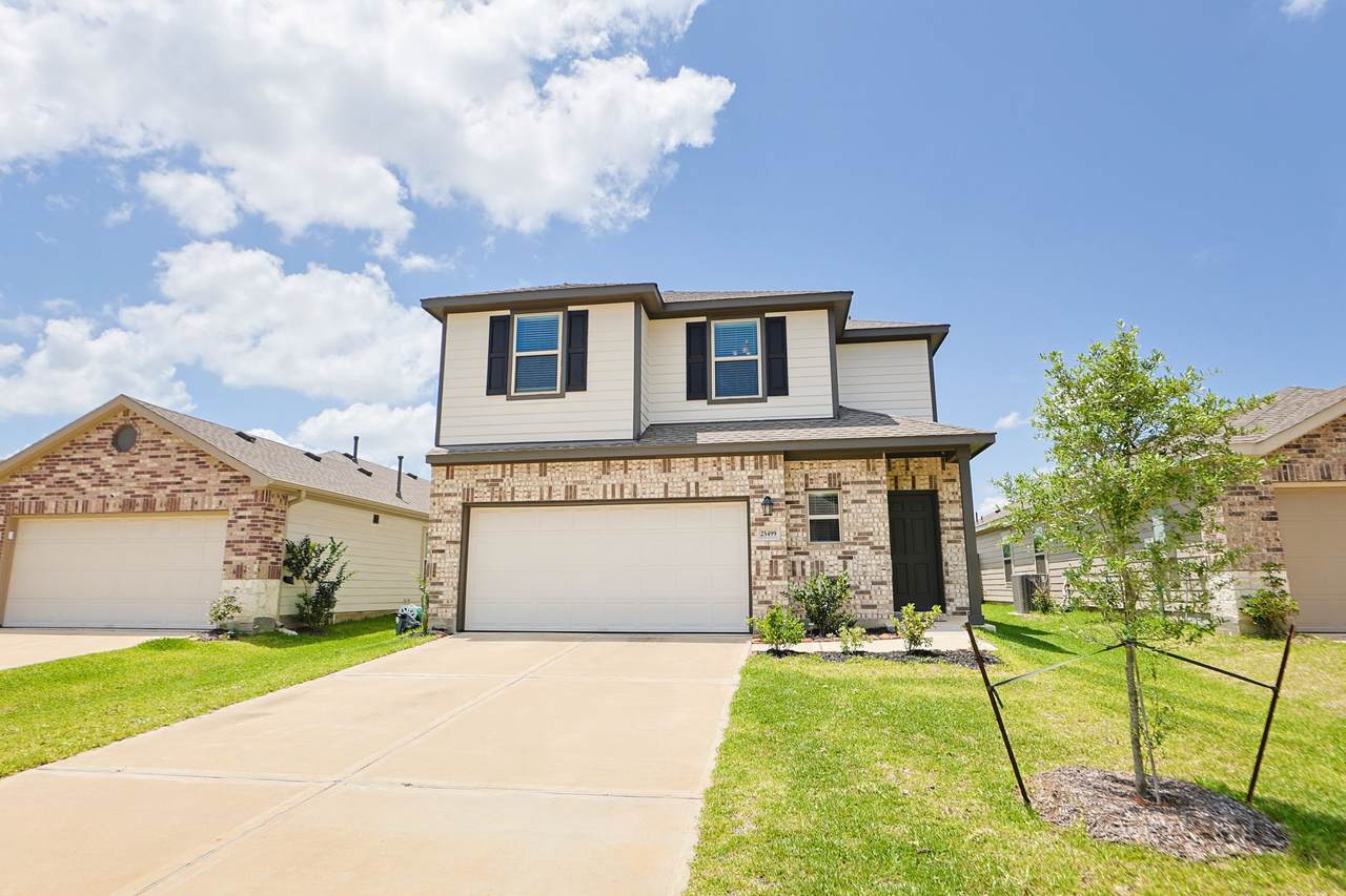 25499 Blue Mistflower Drive - Photo 1
