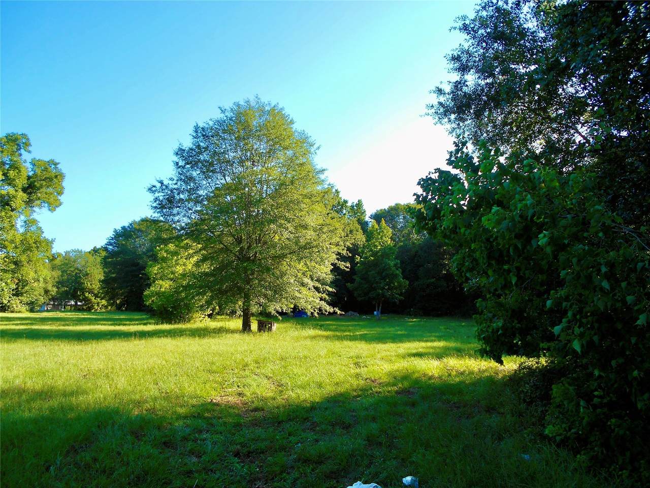 TBD Fm 943 Road - Photo 1