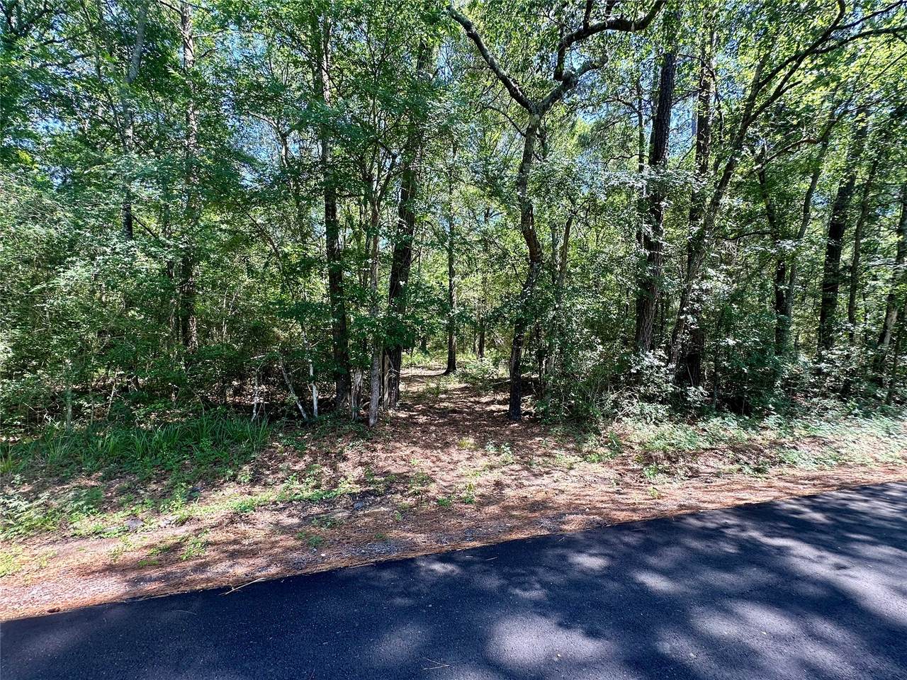 0 Taliaferro Road - Photo 1