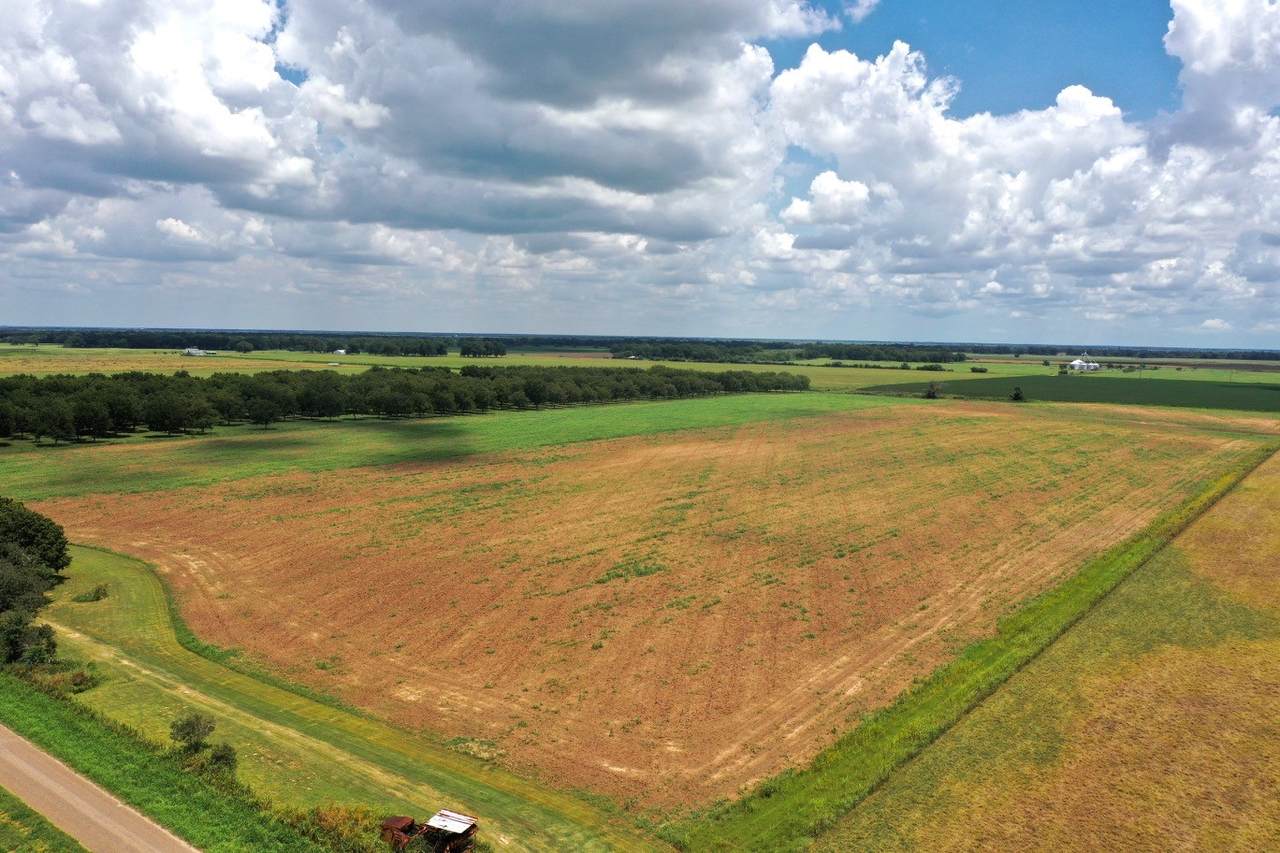 000 County Rd 267 - Photo 1