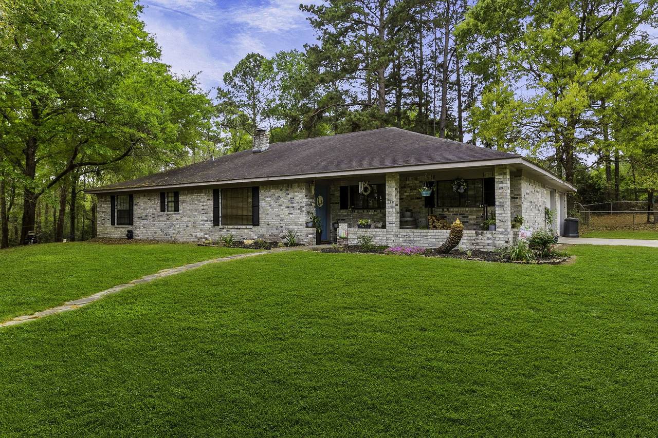 231 Hinson Hill - Photo 1