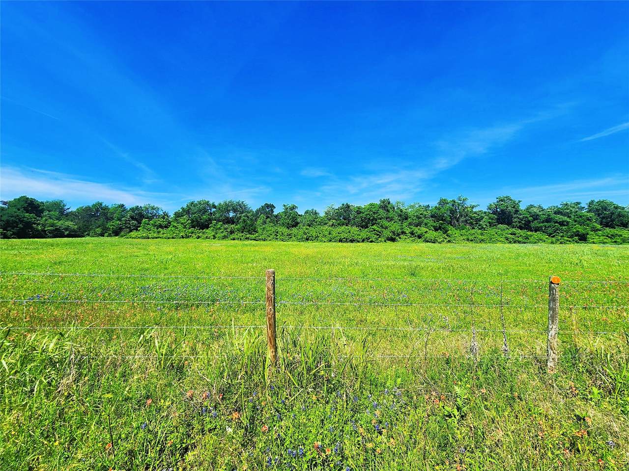 5530 Old Chappell Hill Road - Photo 1