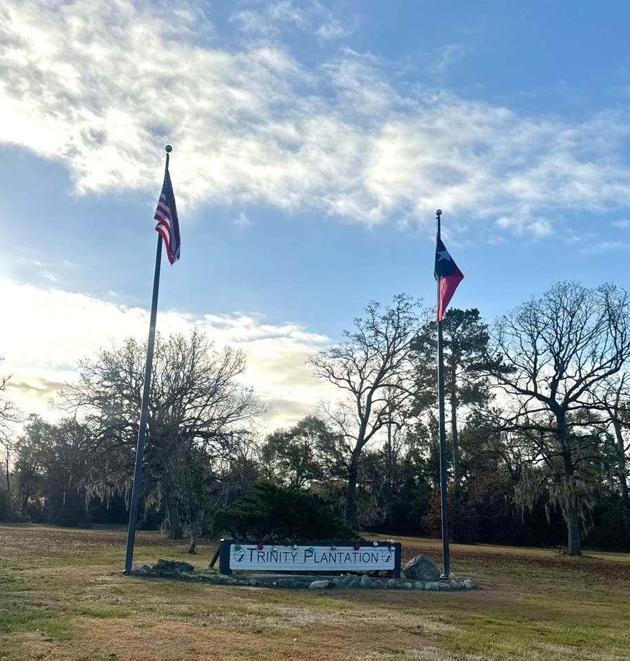 LOT 14 Charleston Street - Photo 1