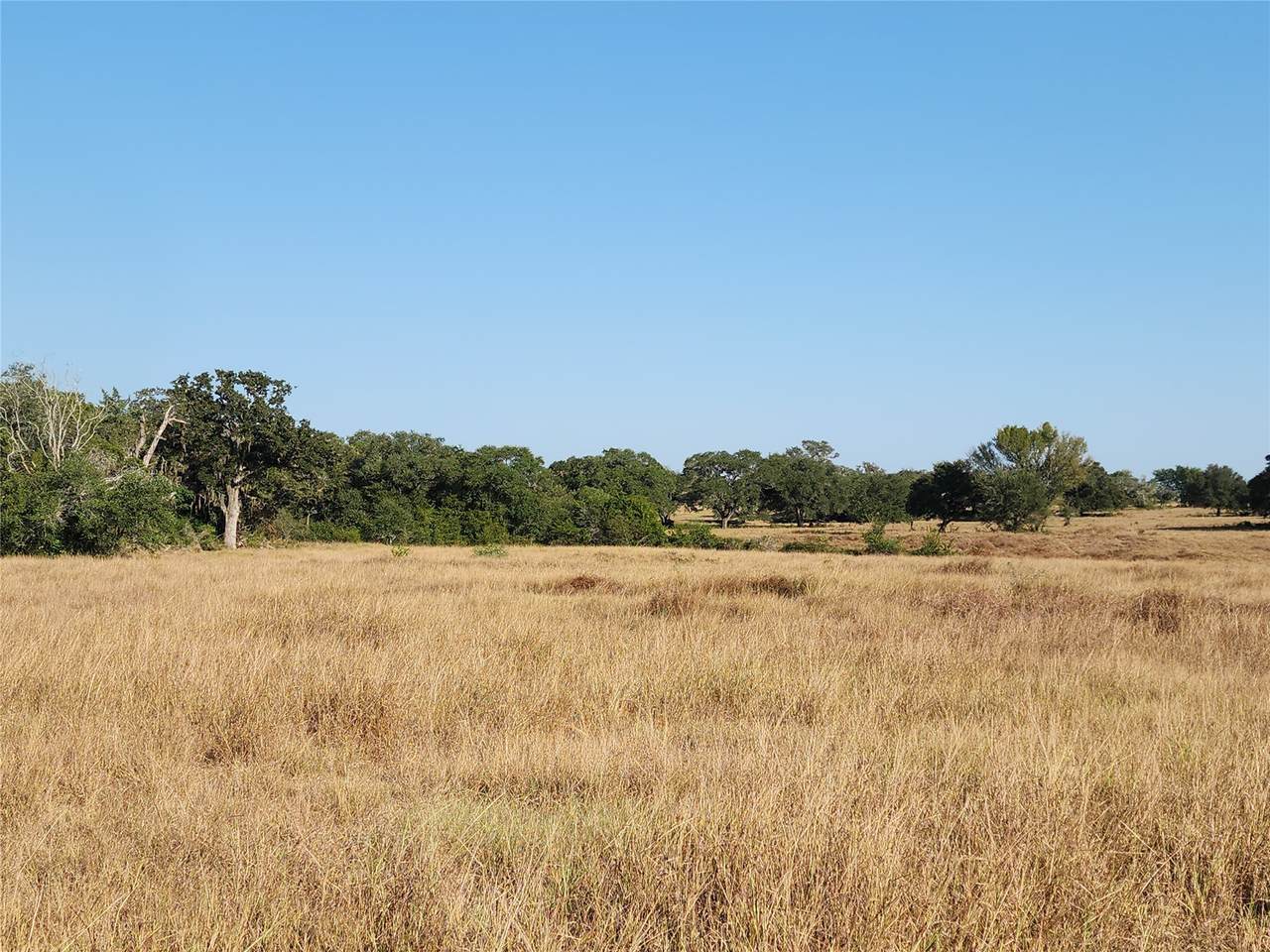 TBD Tbd Fm 318 - Photo 1