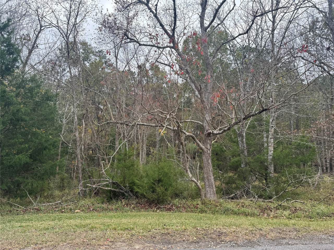 22 Forest Cove Loop - Photo 1