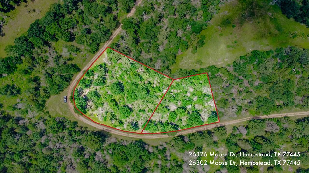 26302 Moose Drive - Photo 1