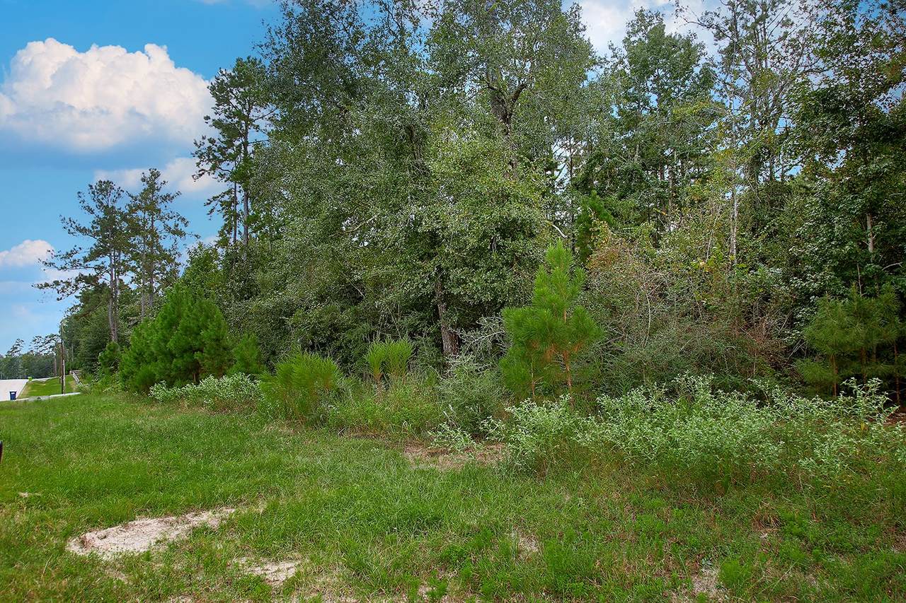 TBD Sky Oak Lane - Photo 1