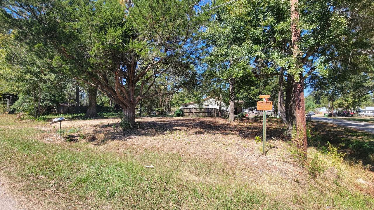 1109 Truman Street - Photo 1