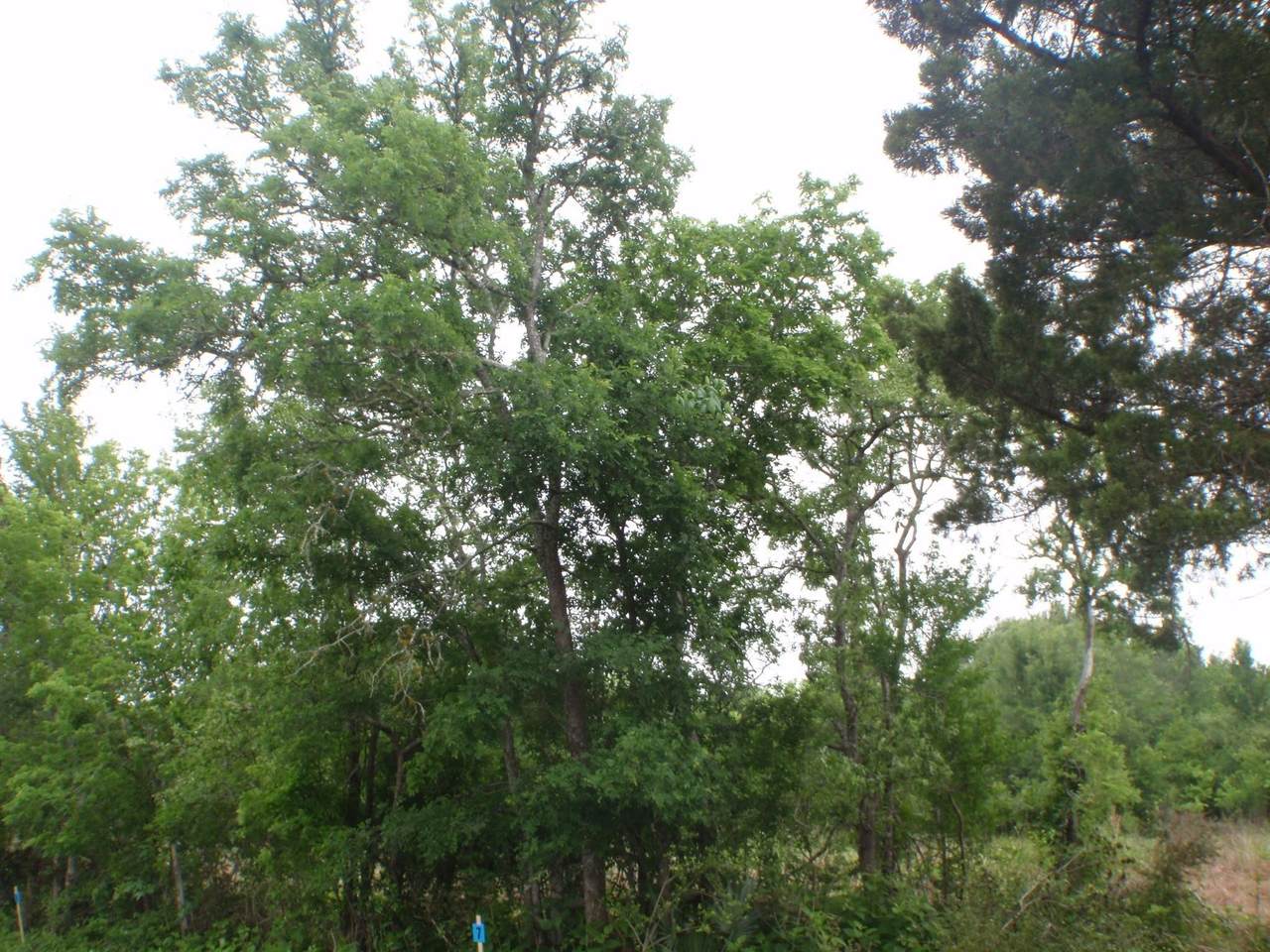 https://bt-photos.global.ssl.fastly.net/harmls/1280_boomver_1_28270019-2.jpg