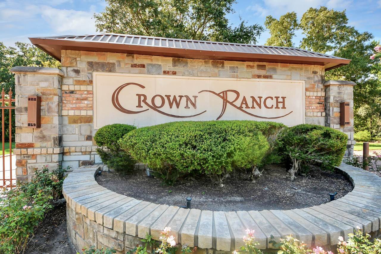 10317 Crown Ranch Boulevard - Photo 1