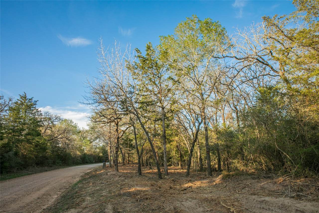 TBD Schoenau Rd - Photo 1