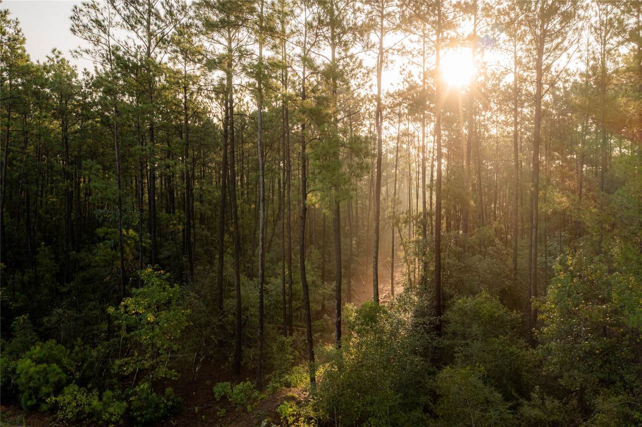 12038 Compassion Lane - Photo 1