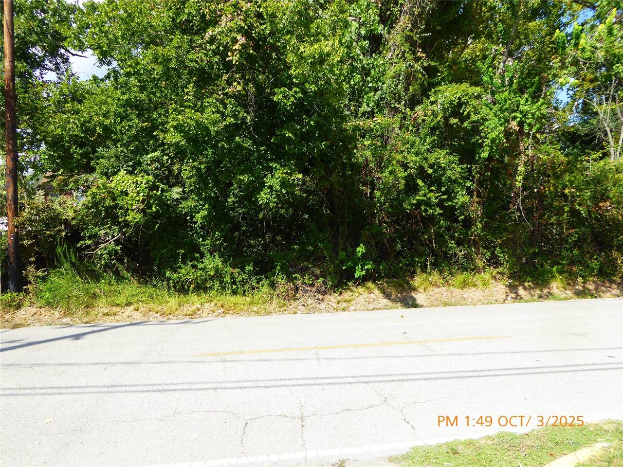 00 Essie Road - Photo 1