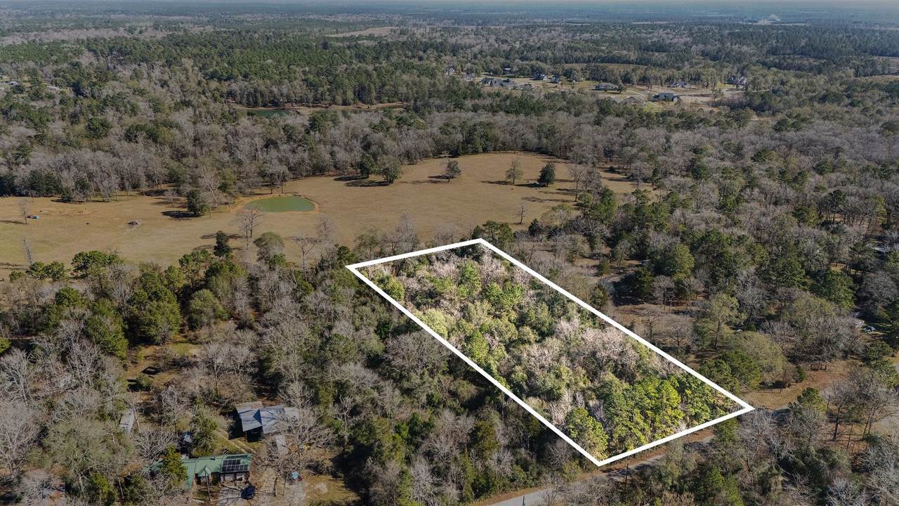 15685 Mckay Road - Photo 1