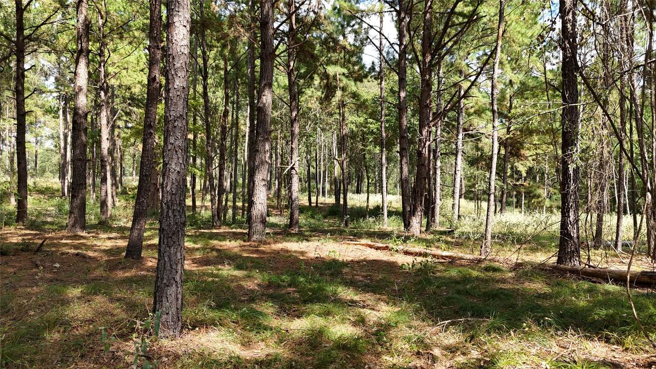 TBD Cherokee Trail - Photo 1