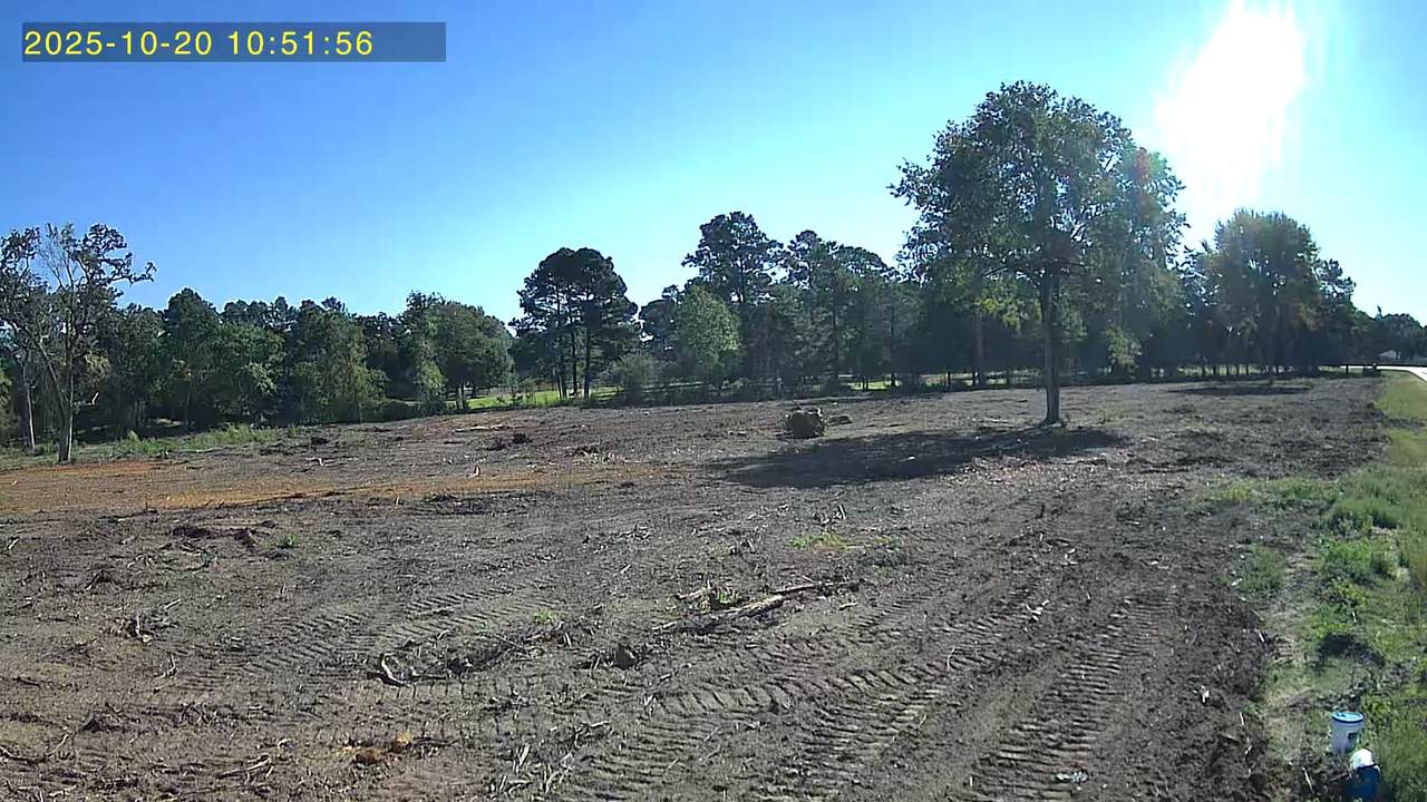 29424 Hegar Road - Photo 1