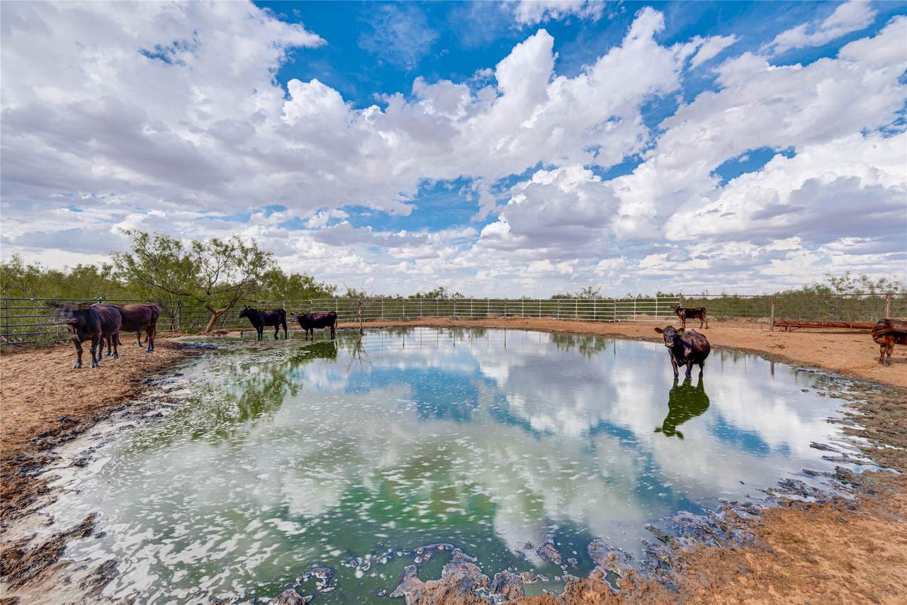 https://bt-photos.global.ssl.fastly.net/harmls/1280_boomver_1_3044109-2.jpg