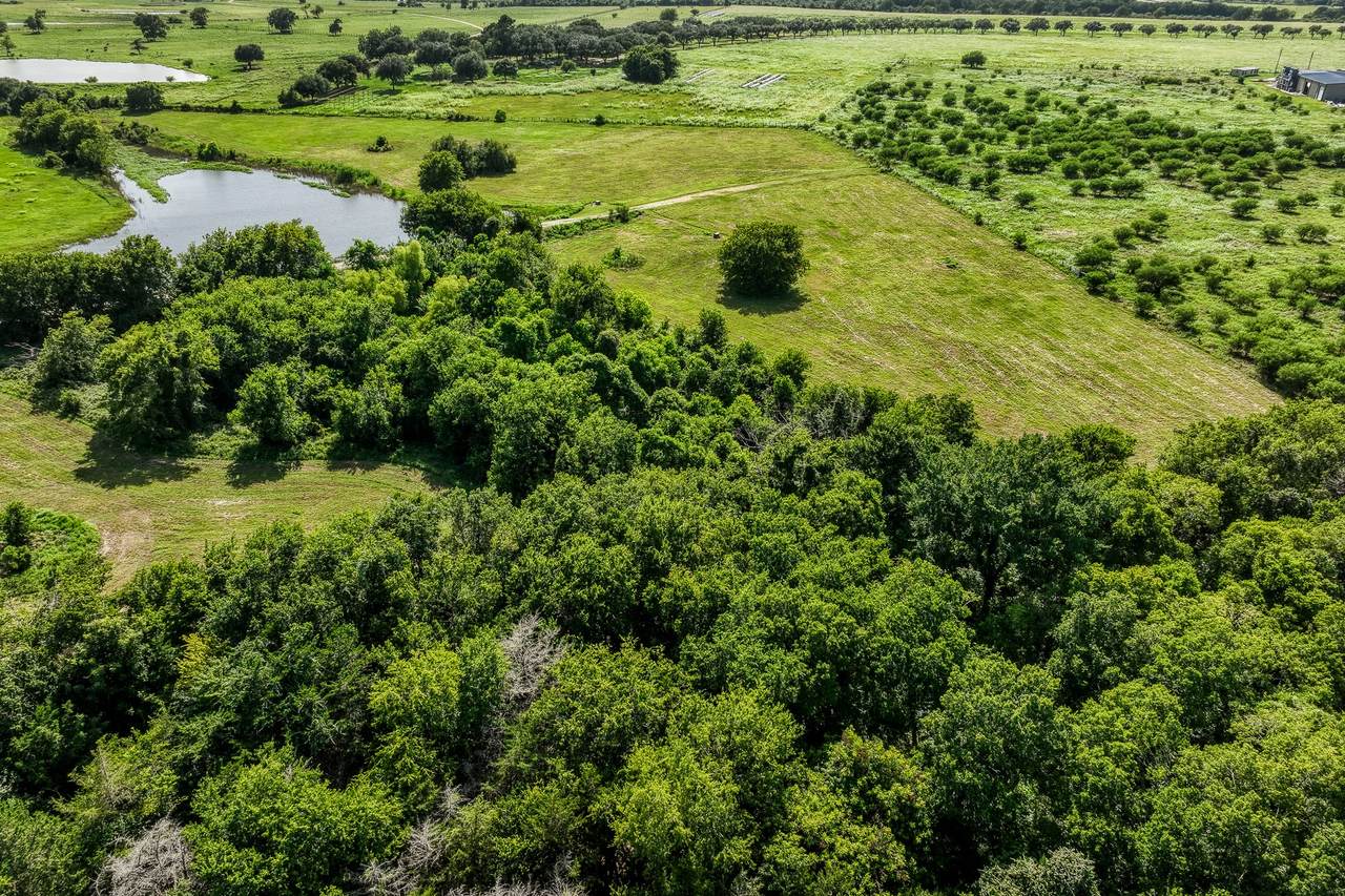 1554 Bluebonnet Ridge Dr - Photo 1