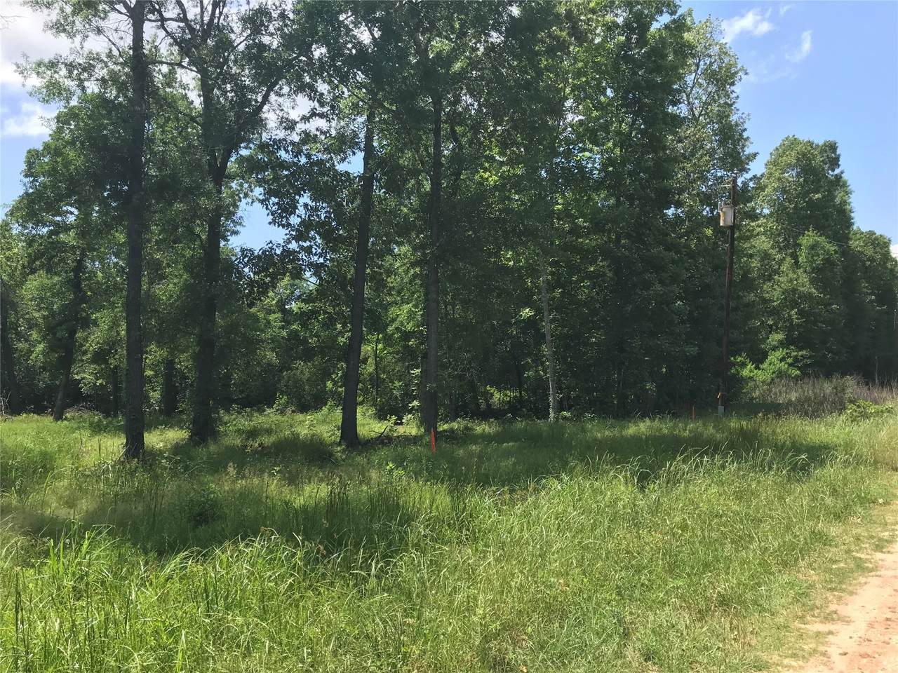 TBD Arrowhead Trail - Photo 1