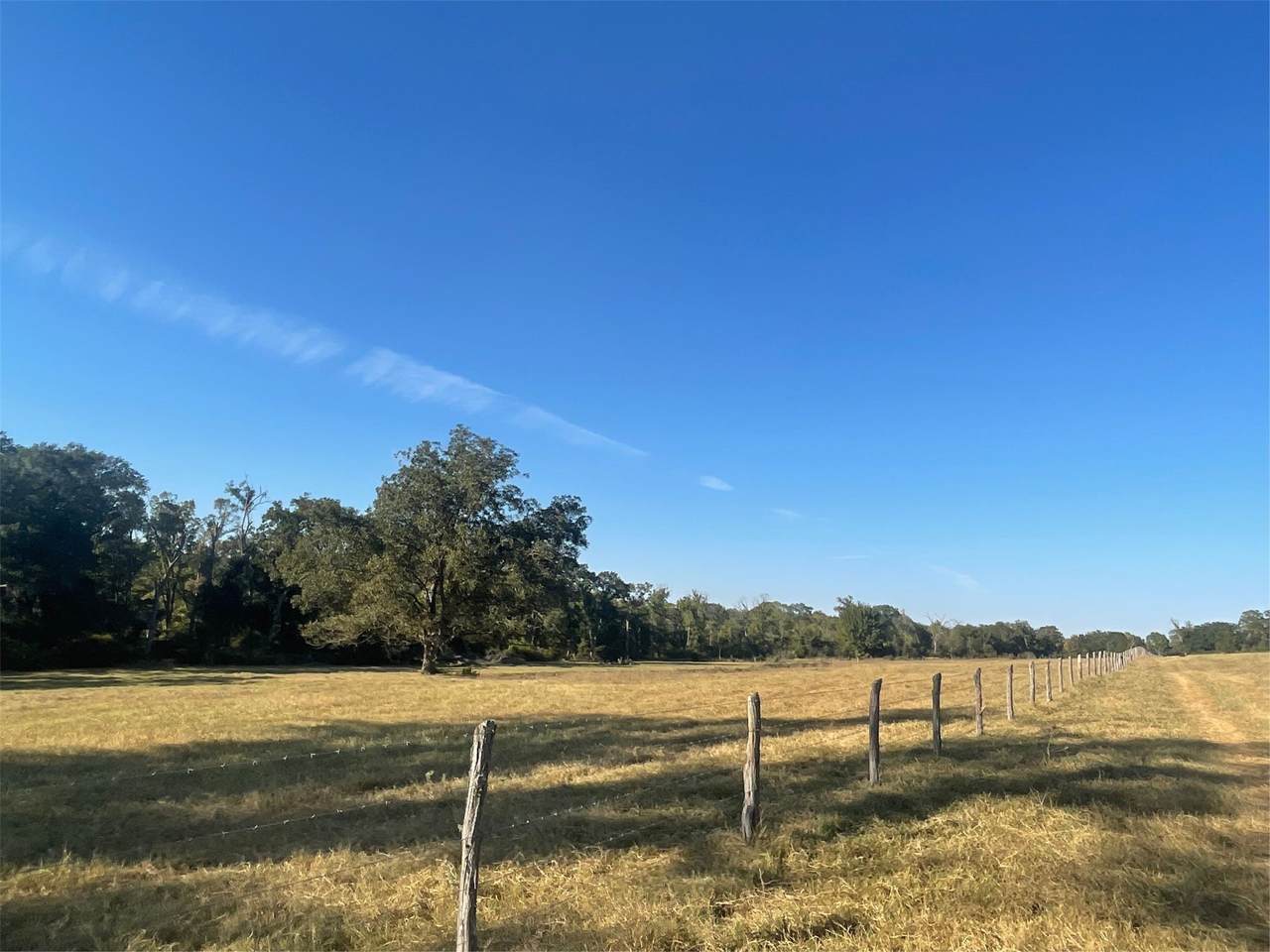 6014 County Road 333 - Photo 1