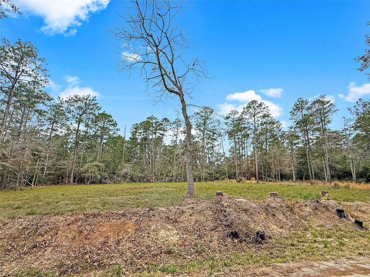 252 Amblewood Drive - Photo 1
