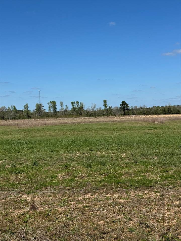 428 County Road 2278 - Photo 1