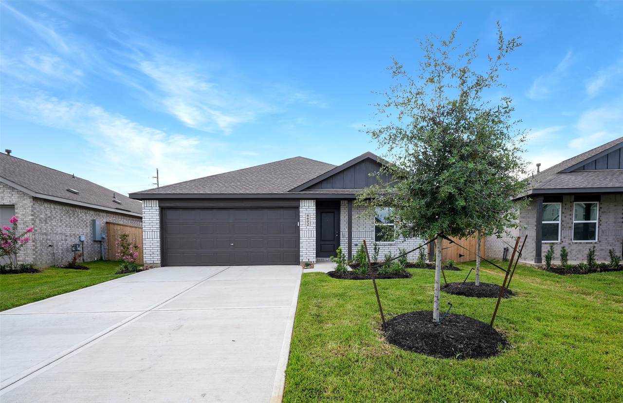 6602 Tricolor Beech Lane - Photo 1