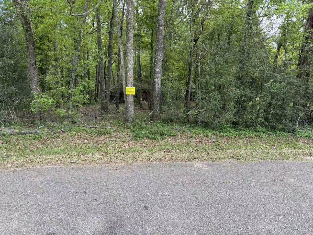 24838 Marks Road - Photo 1