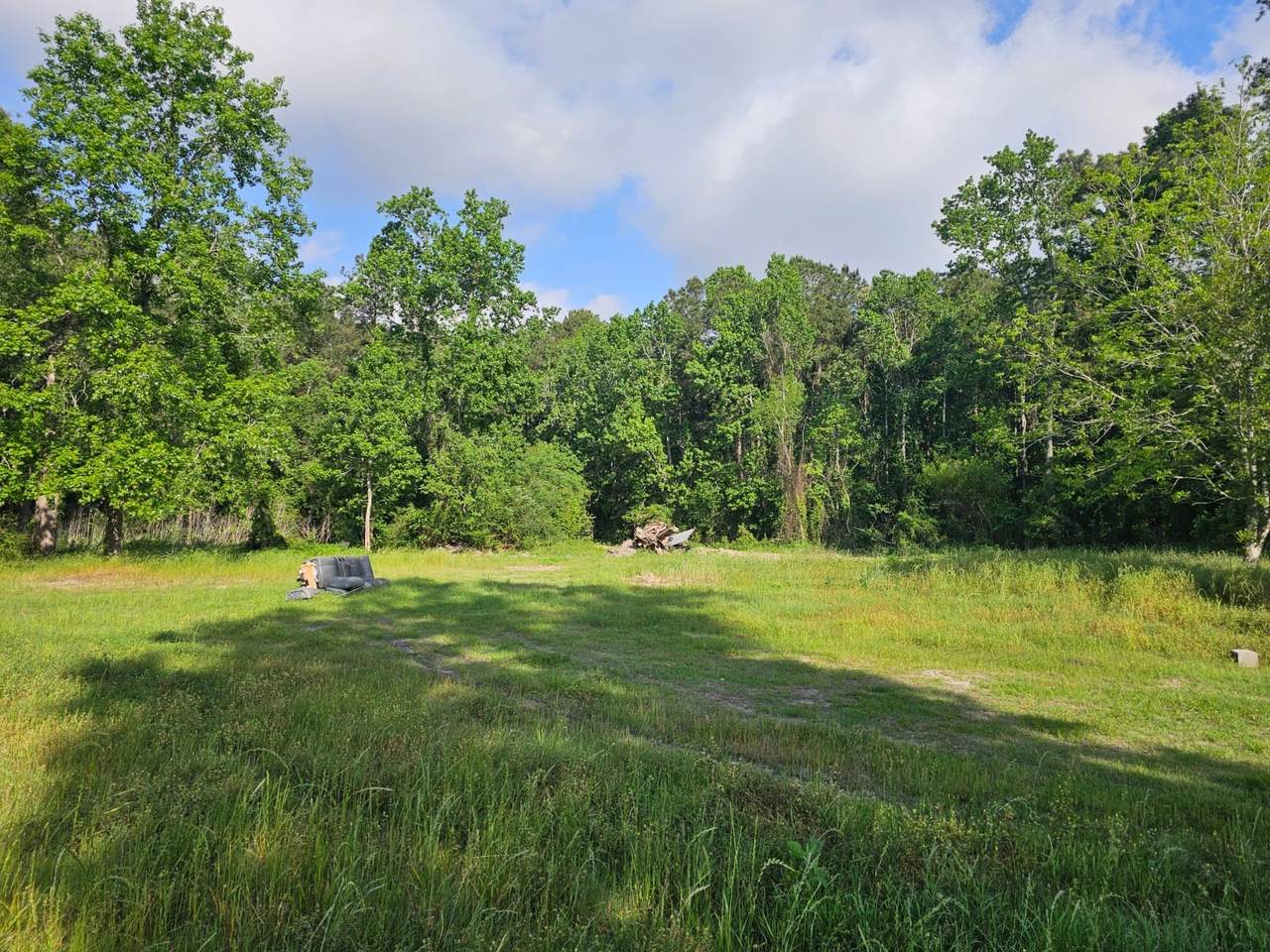 1190 Highway 59 - Photo 1