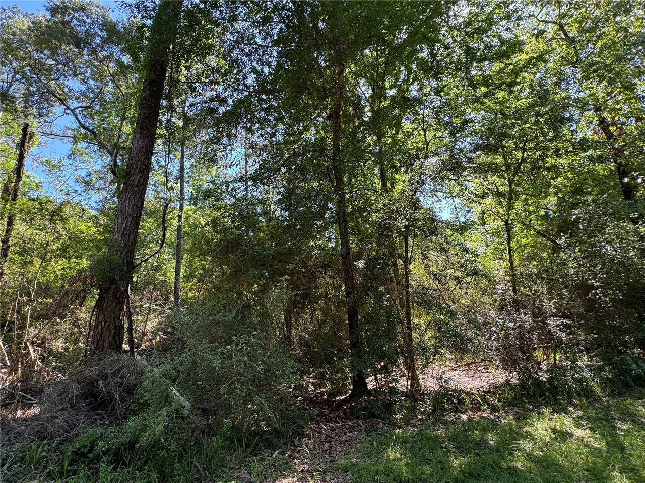 28 Laurel Oak - Photo 1